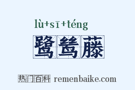 鹭鸶藤是什么意思的图片